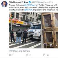 <p>Dogfighting ring busted by NYPD.</p>