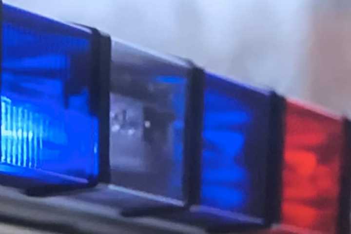 Woman Accused Of Fleeing Scene After Stealing From Area Store