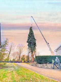 Rockefeller Center Christmas Tree Now Headed From Orange County To NYC