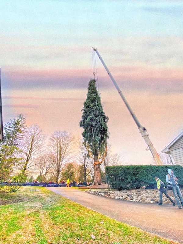 Rockefeller Center Christmas Tree Now Headed From Hudson Valley To NYC