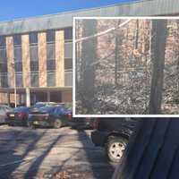 <p>Pyne&#x27;s body was found behind the offices at 25 Lindsley Pl., Tuesday morning in Morris Township.</p>