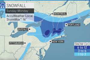 Here Are Projected Snowfall Totals For Slow-Moving Storm That Will Sweep Through Area