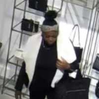 <p>Two women are wanted for stealing a designer purse from the Walt Whitman Shops on Long Island.</p>