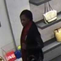 <p>Two women are wanted for stealing a designer purse from the Walt Whitman Shops on Long Island.</p>