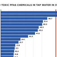 <p>Bergen County&#x27;s PFAS level is fourth highest in the samples that EWG looked at from 31 states and D.C.</p>