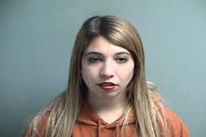 Police: Sussex County Woman Continues Harassing Officer She Bit Last Year