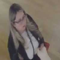 <p>A woman is wanted for allegedly stealing an item from the Louis Vuitton store at Saks Fifth Avenue in Huntington Station.</p>