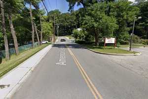 Woman Killed After Car Crashes Into Tree In Ardsley