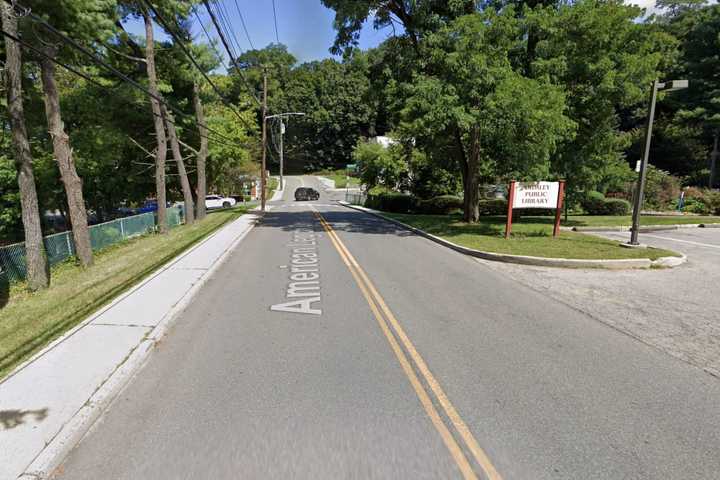 Woman Killed After Car Crashes Into Tree In Westchester
