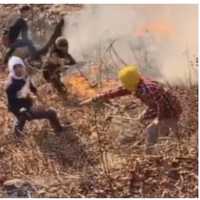 <p>Authorities say they mistakenly identified these individuals as suspects in the Mount Tammany fire after posting the photos to Facebook.</p>