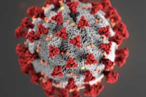 Son Of Westchester COVID-19 Patient Becomes Third Confirmed NY Case