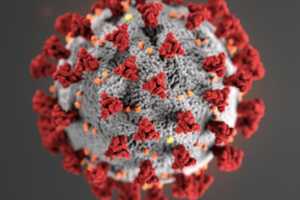 COVID-19: About One-Third Of Virus Survivors Have Longer-Term Mental Health Issues, Study Says