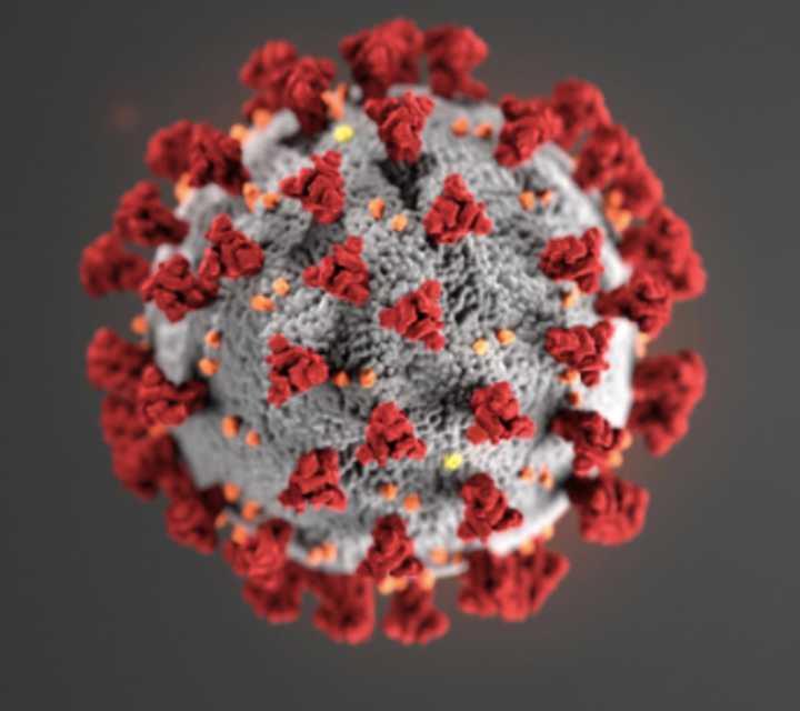 More positive coronavirus cases have been confirmed in New York.