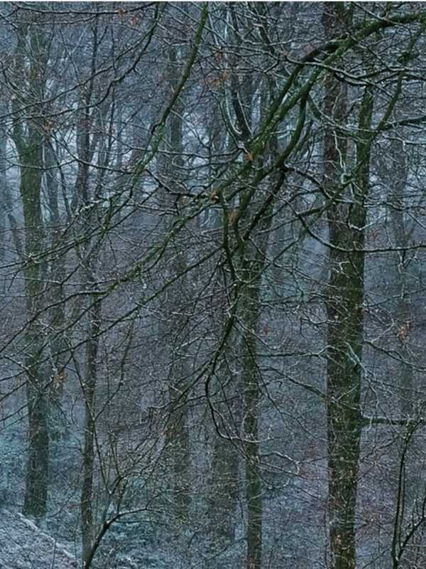 Snow Showers, Flurries Possible As Wind-Chill Values Fall Into 20s On Rare Leap Day