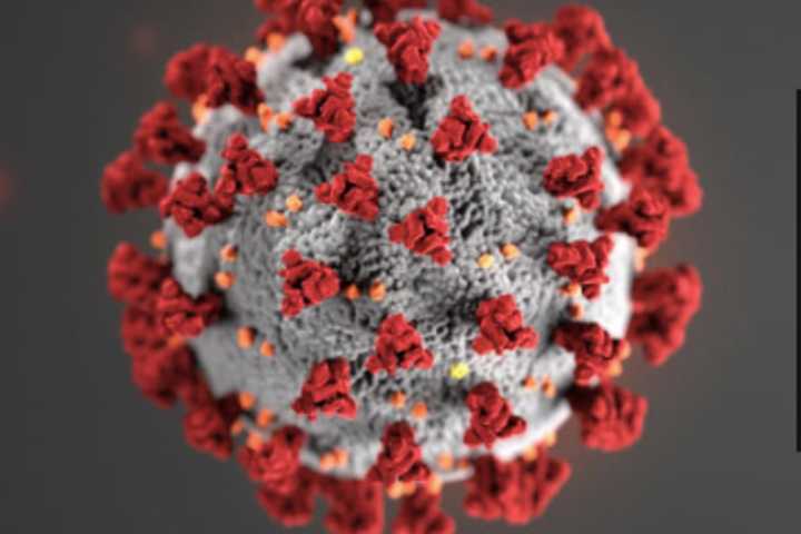 NJ Coronavirus Cases Now At 11 With Newest Cases In Monmouth County