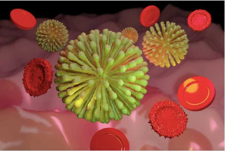 The novel strain of coronavirus (COVID-19).