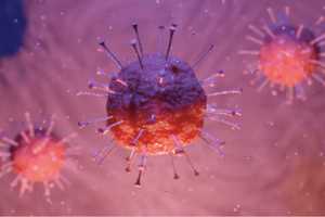Fifth Death Related To COVID-19 Confirmed In Connecticut