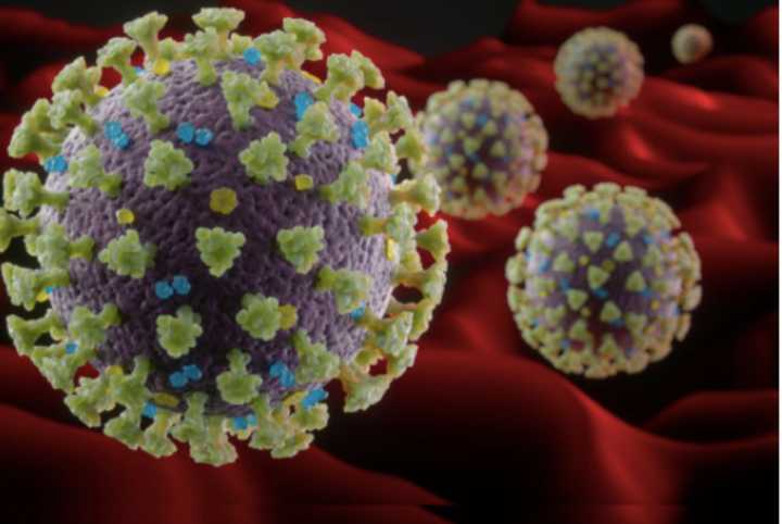 Two new cases of novel coronavirus (COVID-19) have been reported in Stratford.