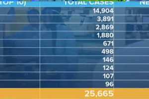 COVID-19: 849 New Confirmed Long Island Cases; State Total Now 25,665