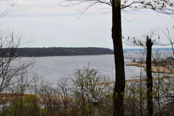 Long Island Man Who Fell In Neck-Deep Water Rescued By Police Officer