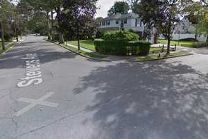 Long Island Man Arrested After Kicking, Killing Dog, Police Say