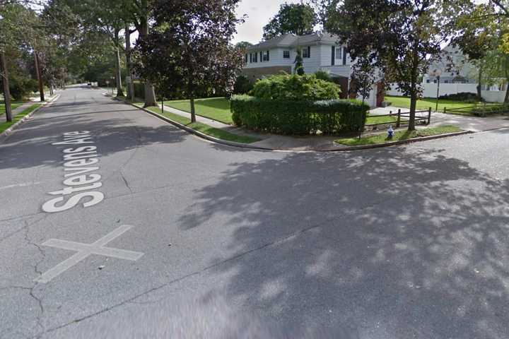 Nassau County Man Arrested After Kicking, Killing Dog, Police Say