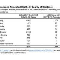 <p>A look at COVID-19 cases and fatalities by county on Thursday, April 9.</p>