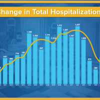 <p>A look at the change in total hospitalizations in New York.</p>