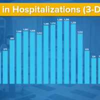 <p>The number of COVID-19 hospitalizations in New York continues to level out.</p>