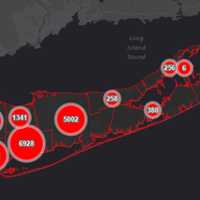 <p>The Nassau County COVID-19 map on Friday, April 17, 2020.</p>