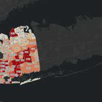 <p>COVID-19 cases in Nassau County as of Friday, April 24, 2020 (more cases are in the deeper colored regions)</p>