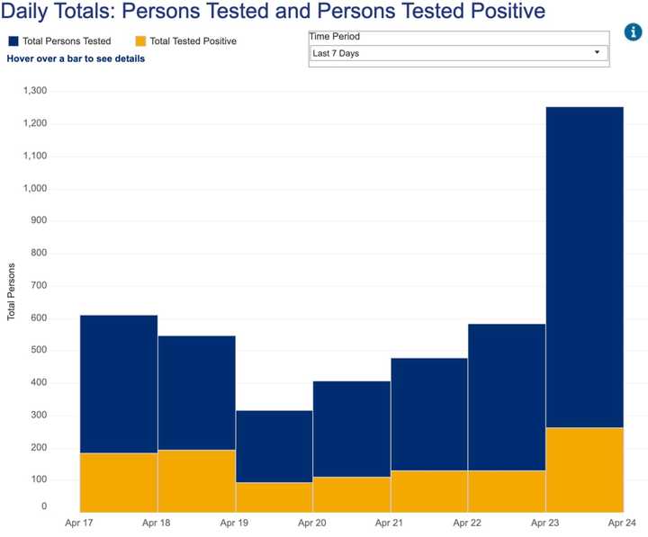 Daily trend of COVID-19 cases in Rockland County.