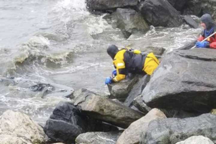 Man, Woman Hospitalized After Kayak Capsizes On Long Island Sound