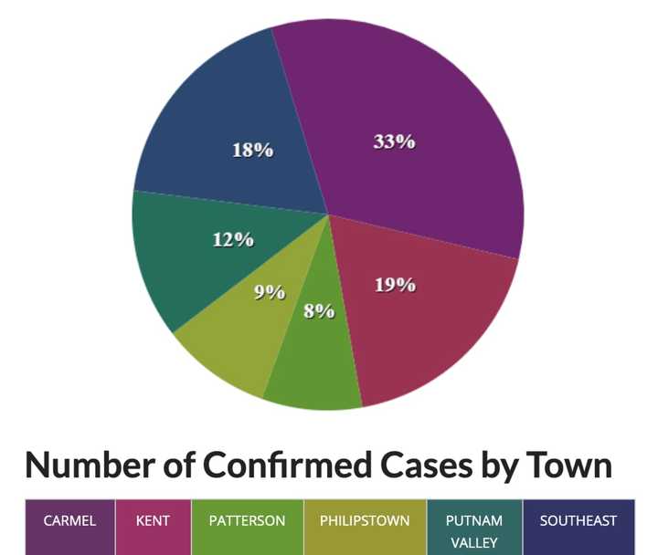 A breakdown of COVID-19 cases in Putnam County by percentage.