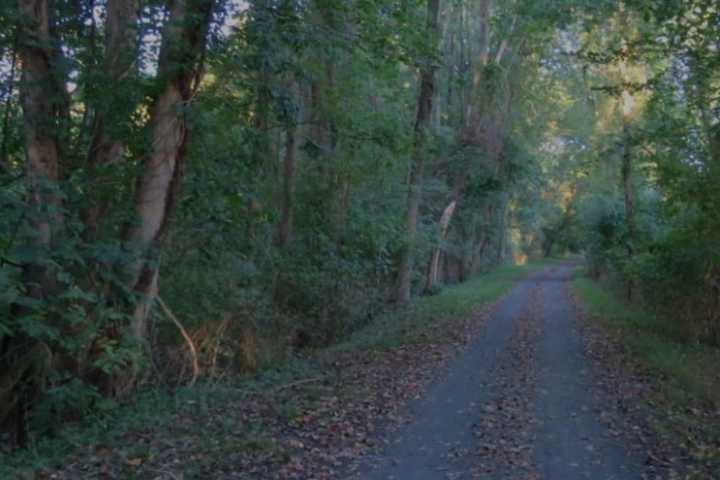 Body Recovered From Delaware & Raritan Canal In Mercer County