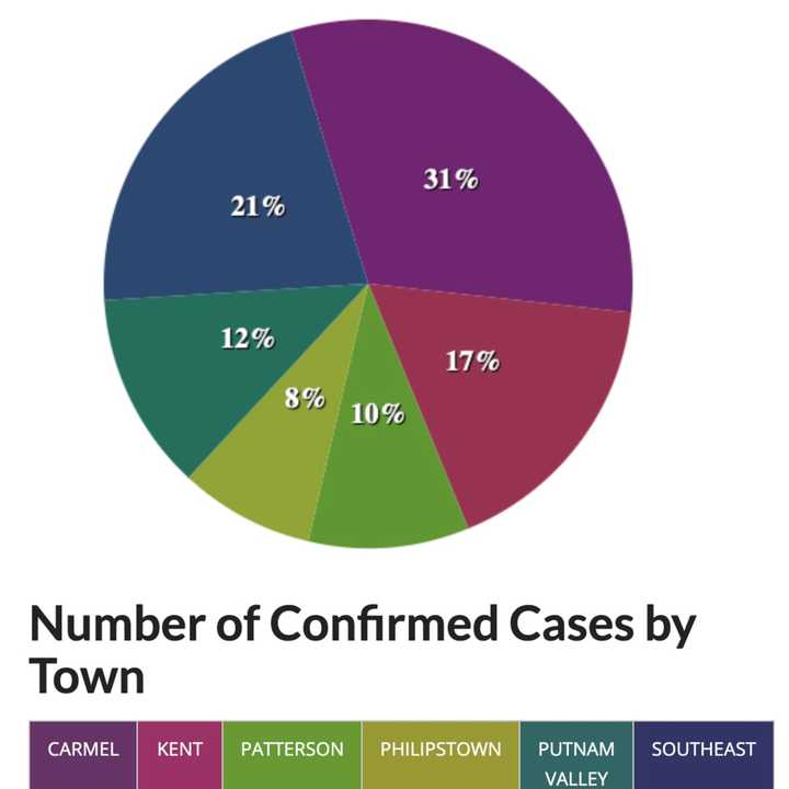 A breakdown of COVID-19 cases in Putnam County, by percentage.