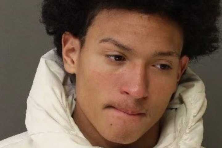 Trenton Teen Flees Police After Curfew, Attempted Burglary