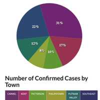 <p>The latest breakdown of COVID-19 cases in Putnam County, according to the Department of Health.</p>