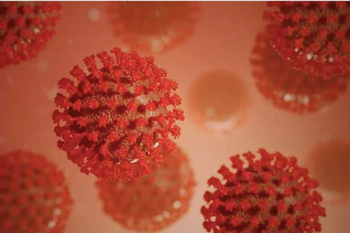 COVID-19: These Factors May Determine Why Virus Spares Some, Kills Others, Report Says