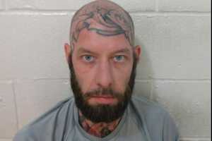 Raid Of Accused Warren County Robber's Home Turns Up Guns, 140 Pot Plants