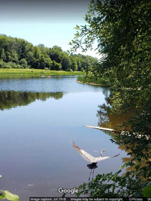 Man Pronounced Dead Shortly After Being Pulled From Lake In Litchfield County