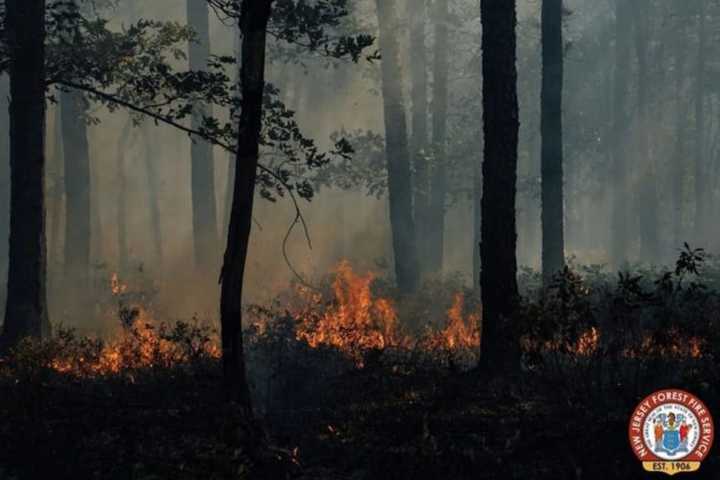 Massive Forest Fire In Ocean County Doused By Tropical Storm Fay