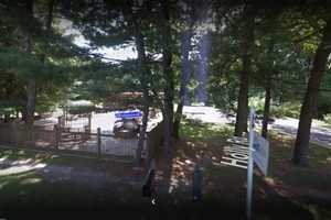 Dog Who Bit Boy At New Canaan Park Found