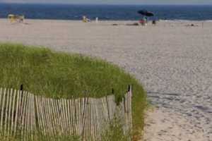 New Shark Sighting Leads To Long Island Beach Closures