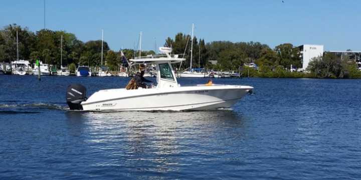 Boston Whaler