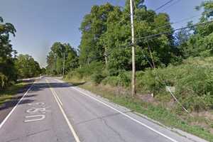 Woman Killed When Tree Falls On Car On Route 9 In Dutchess