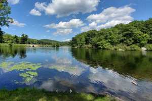 25-Year-Old Drowns After Slipping At Harriman State Park, Police Say