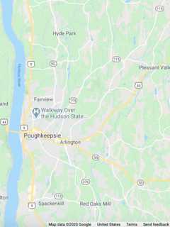 Woman Reports Seeing Bigfoot 'Swinging From Tree To Tree' In Hudson Valley