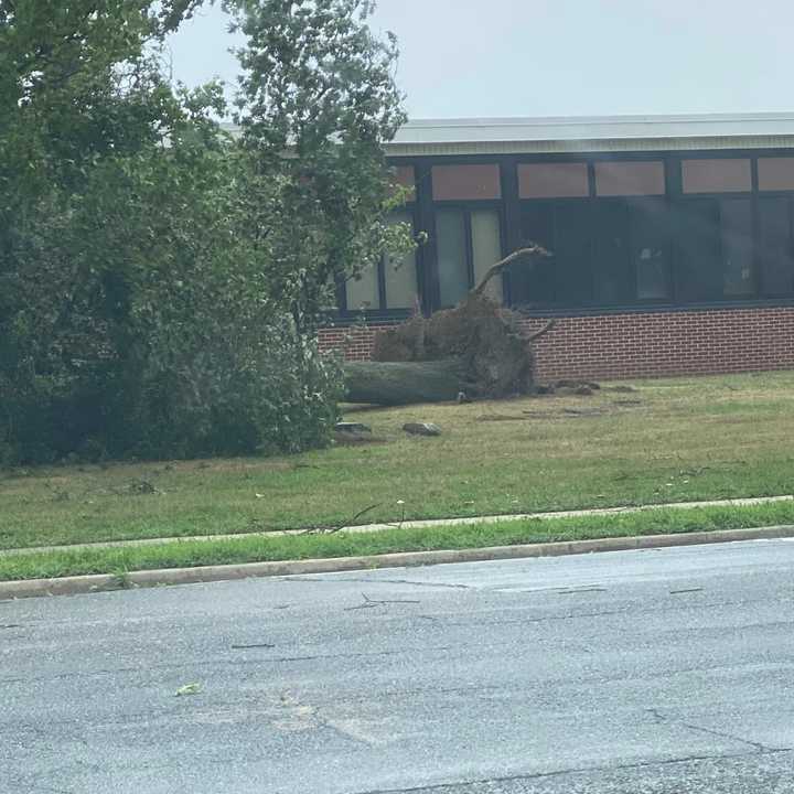 A downed tree outside a Levittown elementary school.