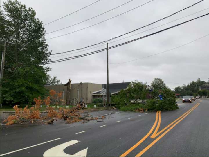 A downed tree in Norwalk.